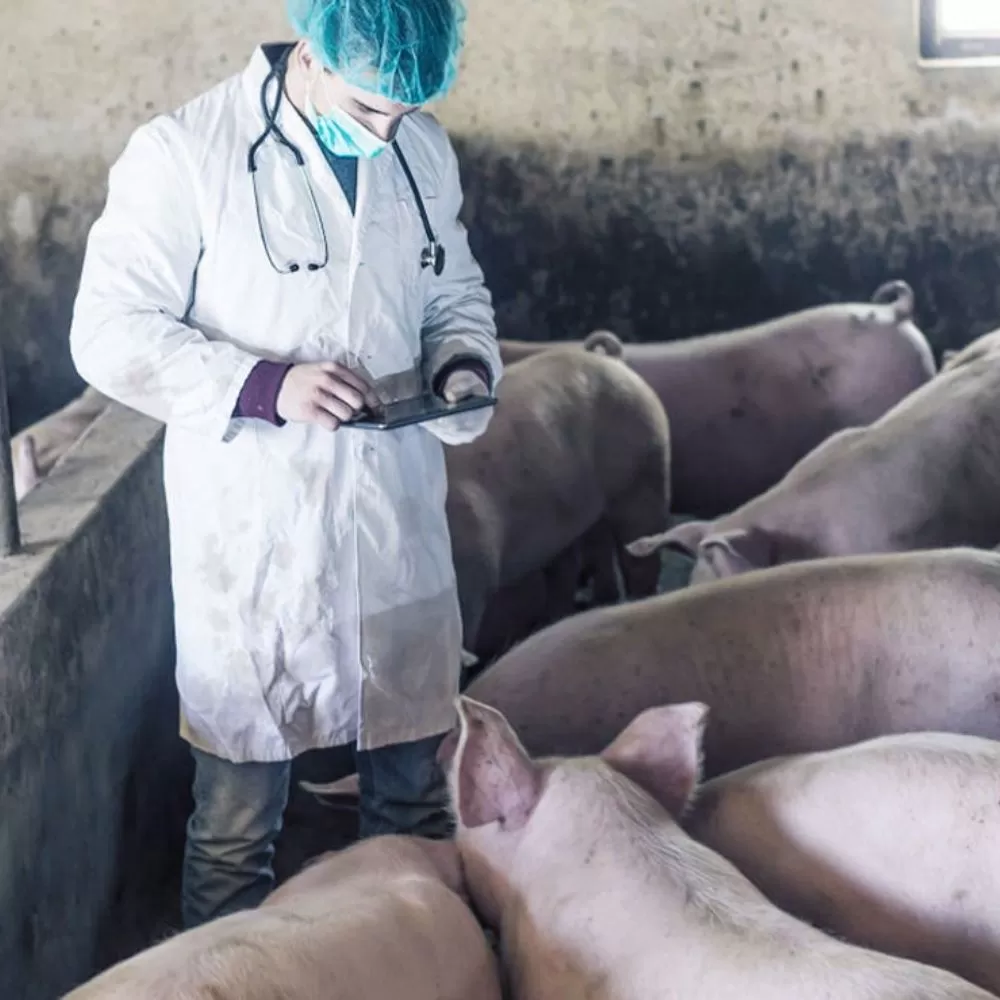 PSA, INNOCUO PER LA SALUTE DELL&rsquo;UOMO MA PER LA ECONOMIA?