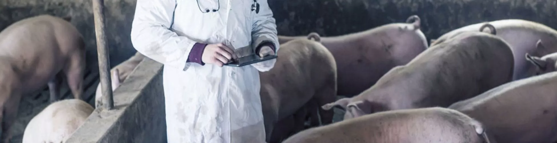 PSA, INNOCUO PER LA SALUTE DELL&rsquo;UOMO MA PER LA ECONOMIA?