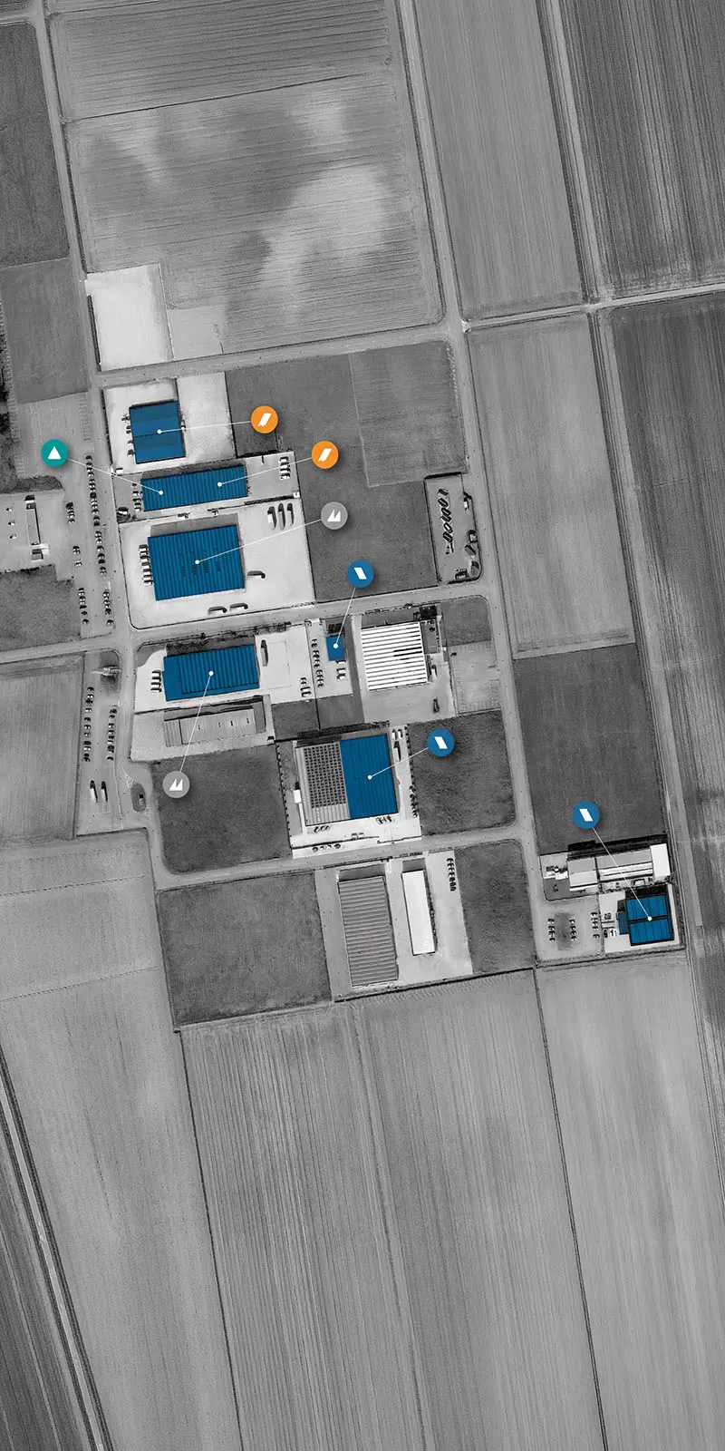 Azienda